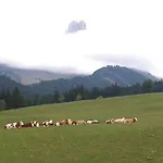 Haus Panorama Διαμέρισμα *