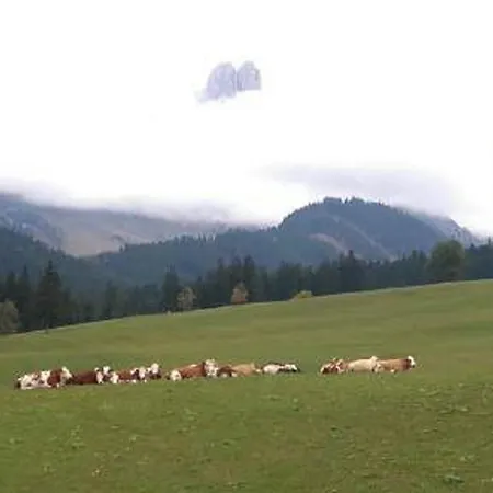 Haus Panorama Lejlighed *